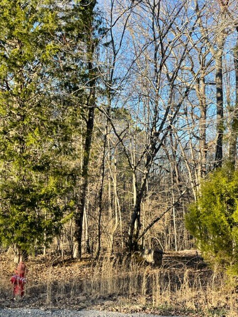 Image for Vacant Lot near Golf Course / Skyview Drive in Centerville