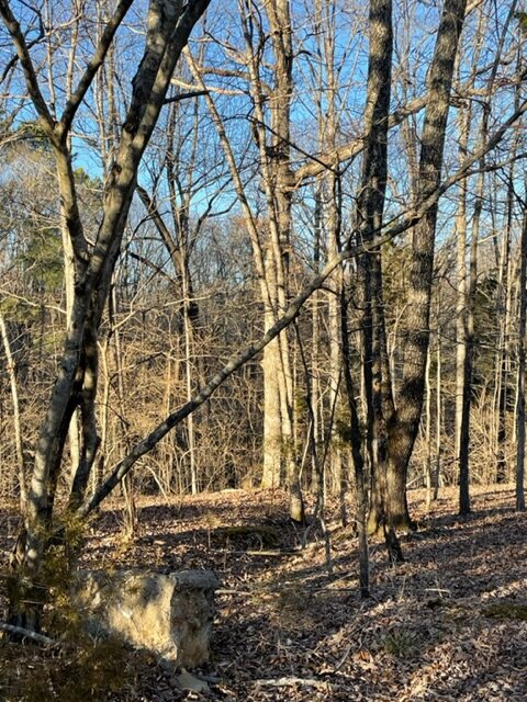 Image for Vacant Lot near Golf Course / Skyview Drive in Centerville