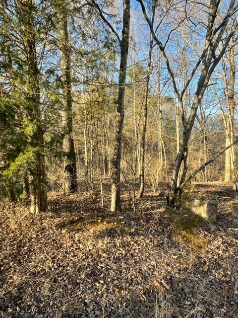 Image for Vacant Lot near Golf Course / Skyview Drive in Centerville