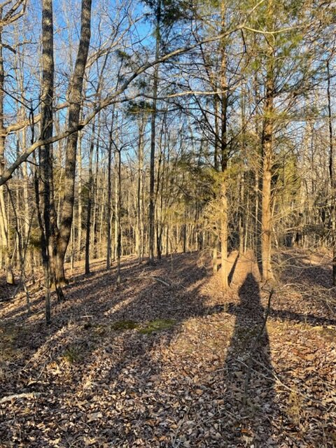 Image for Vacant Lot near Golf Course / Skyview Drive in Centerville