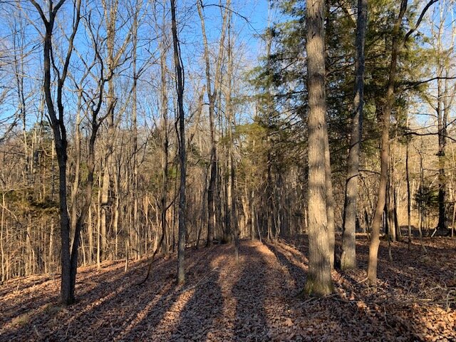 Image for Vacant Lot near Golf Course / Skyview Drive in Centerville