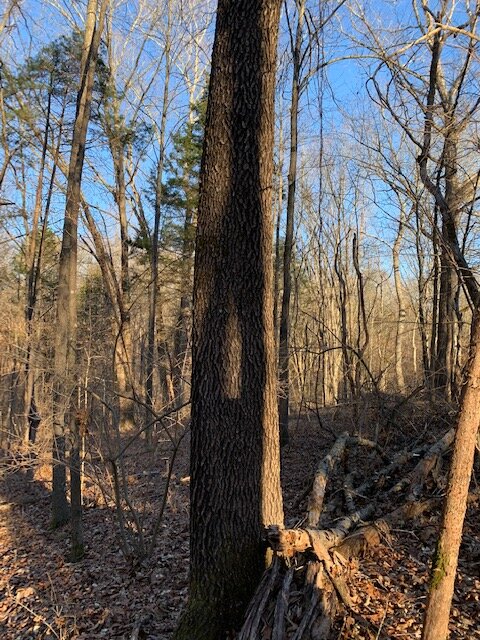 Image for Vacant Lot near Golf Course / Skyview Drive in Centerville