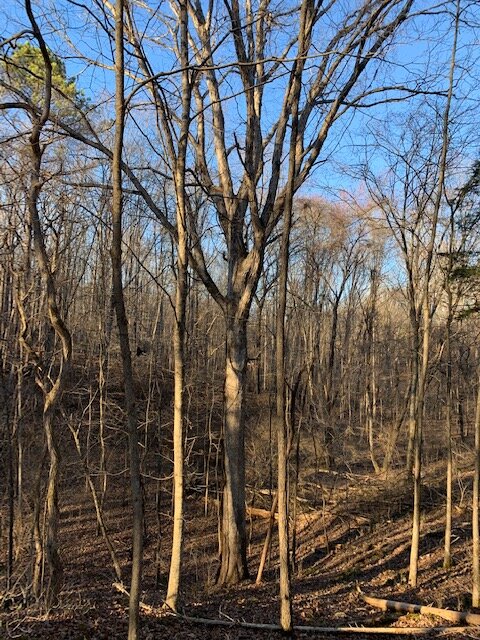 Image for Vacant Lot near Golf Course / Skyview Drive in Centerville