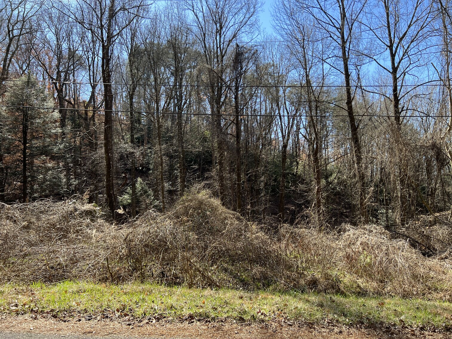 Image for Lot 2 - 3.14 +/- Acres on Jeff Drive, Ellijay, Georgia