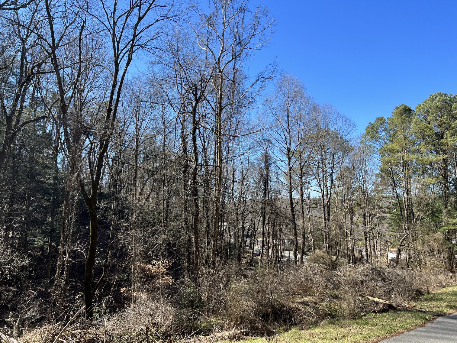 Image for Lot 2 - 3.14 +/- Acres on Jeff Drive, Ellijay, Georgia