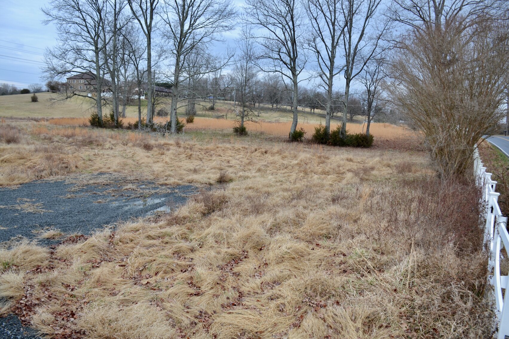 Image for 4 +/- Acre Lot w/Pond on Poplar Rd. in Stafford County, VA--ONLINE ONLY BIDDING!!