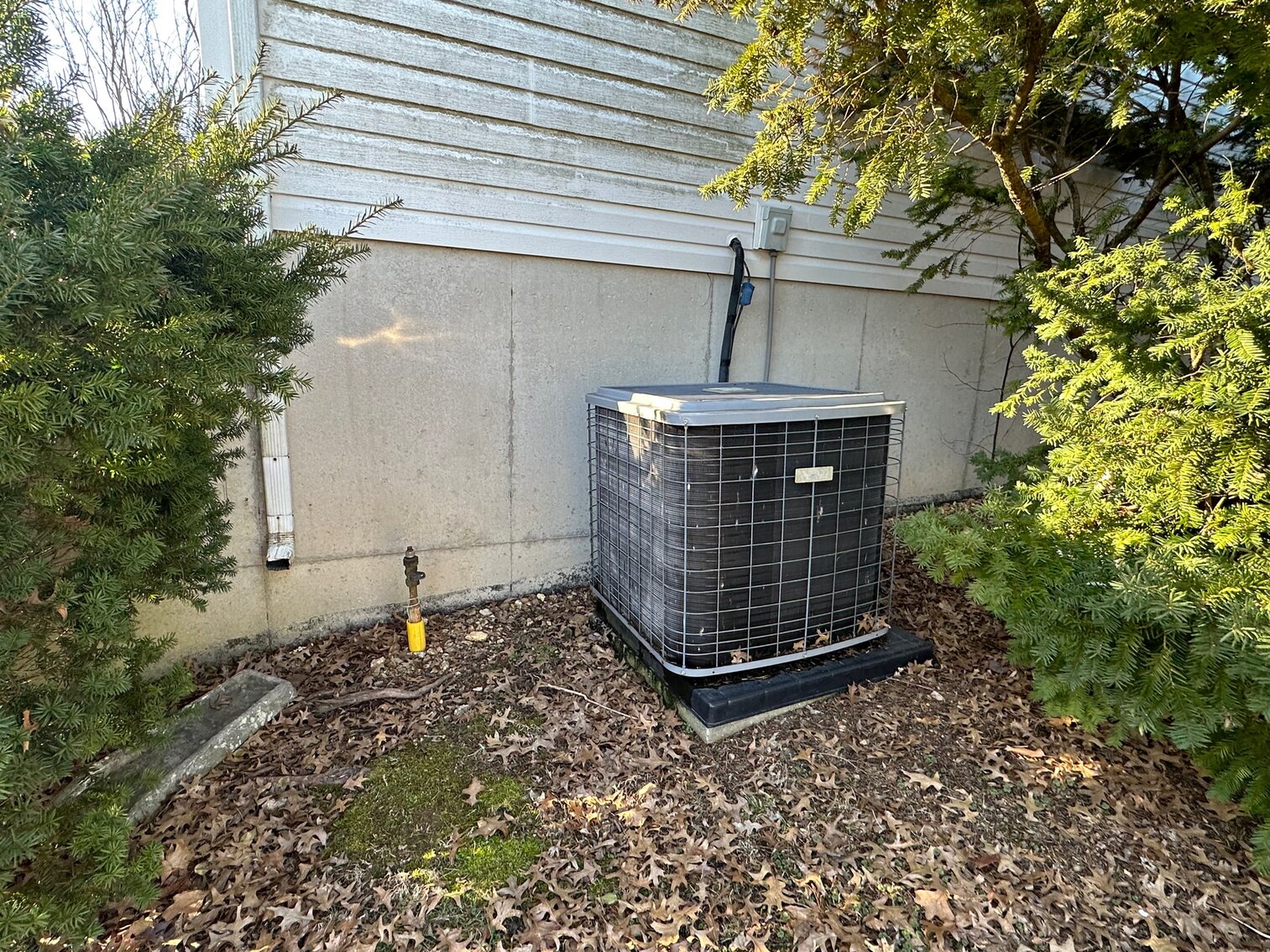 Image for SATURDAY, MARCH 4TH, AT 10 AM