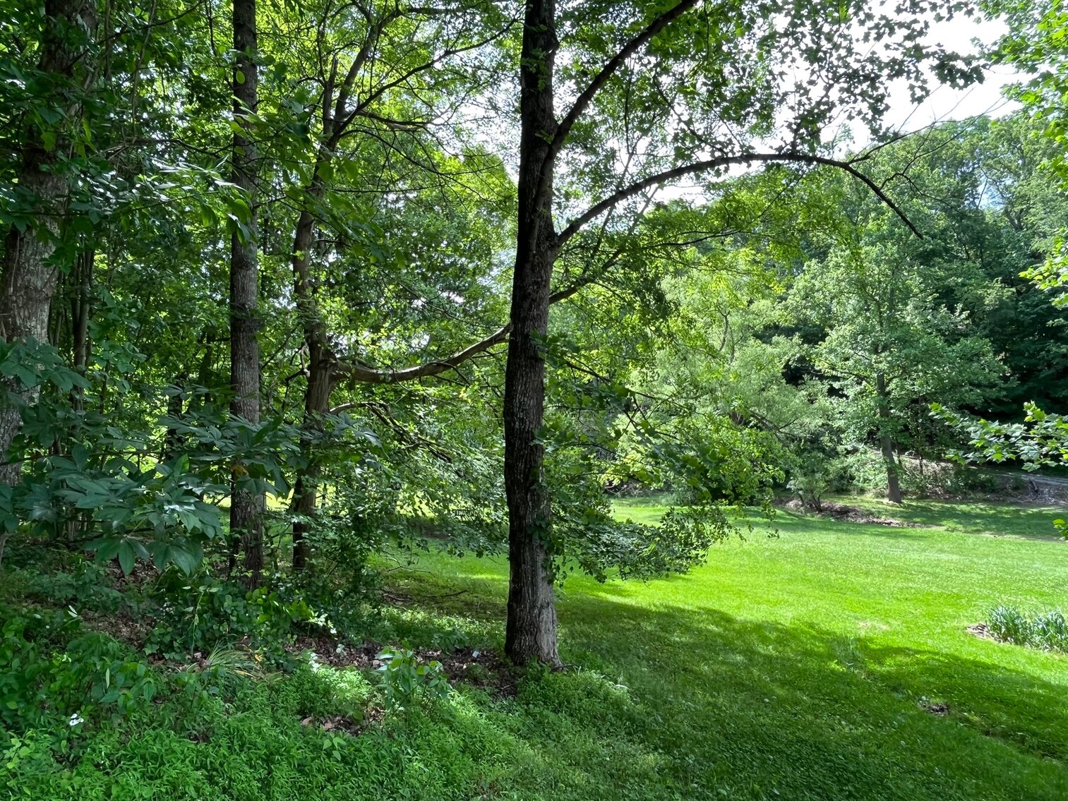 Image for SOLD $368,500 - 3 Bedroom on 66 Acres