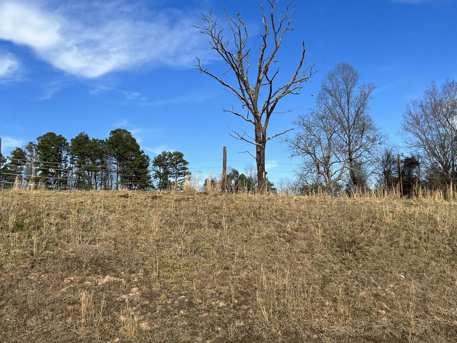 Image for Commissioner's Sale - Brick Home with 21 Acres