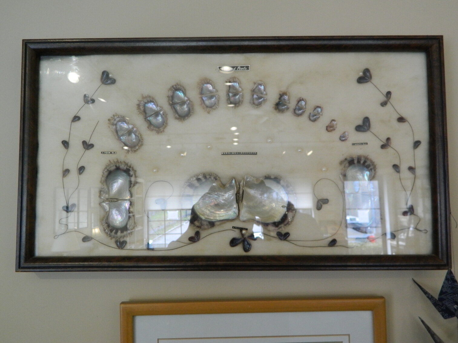 Image for PUBLIC LIQUIDATION JEWELRY STORE AUCTION
