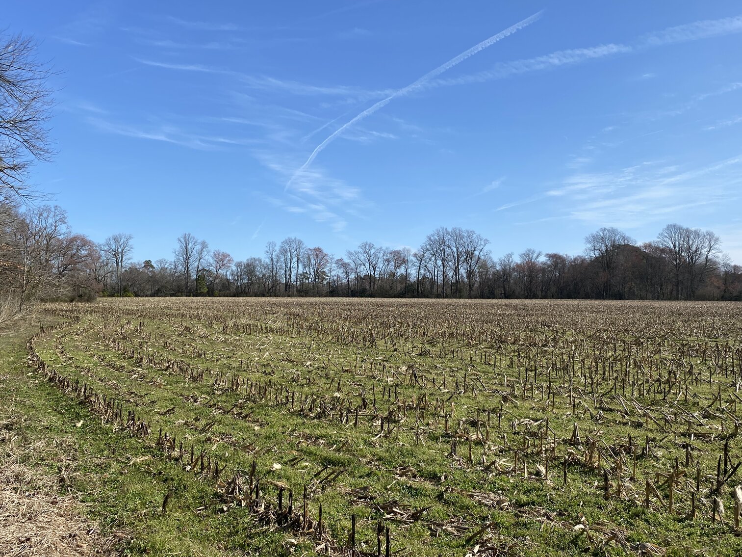 Image for Waterfront Farmland Auction Neal Parker Rd Withams, VA
