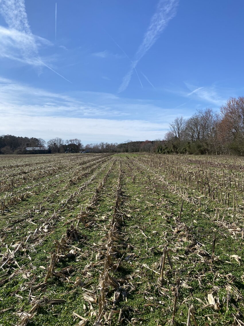 Image for Waterfront Farmland Auction Neal Parker Rd Withams, VA