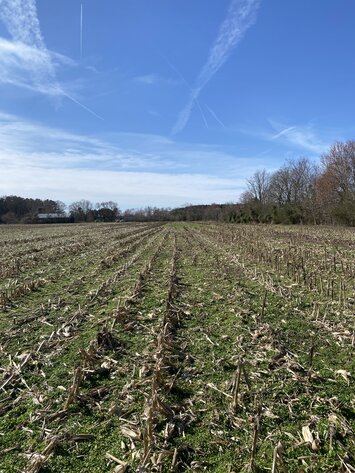 Image for Waterfront Farmland Auction Neal Parker Rd Withams, VA