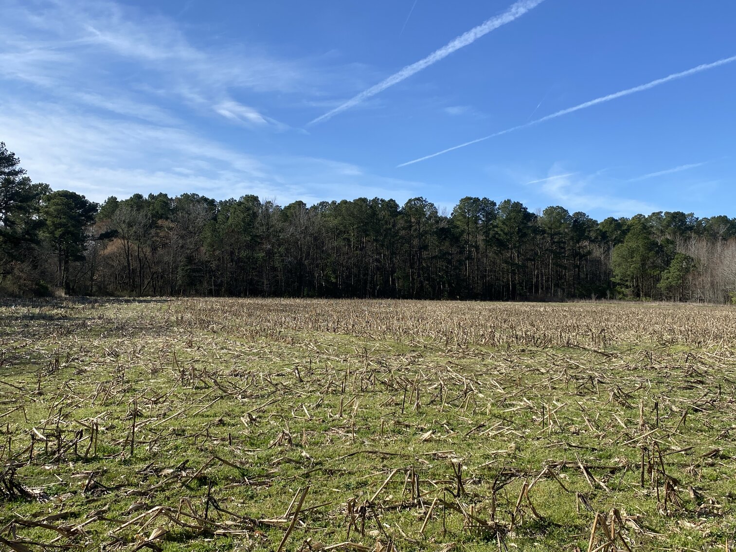 Image for Waterfront Farmland Auction Neal Parker Rd Withams, VA