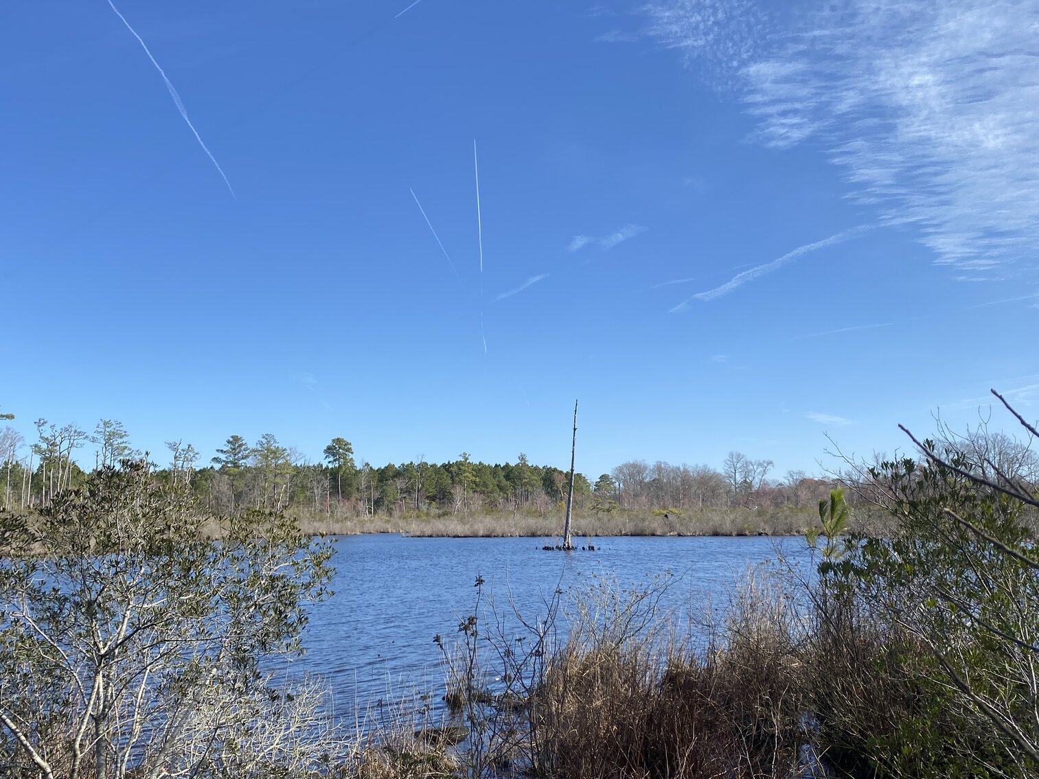 Image for Waterfront Farmland Auction Neal Parker Rd Withams, VA
