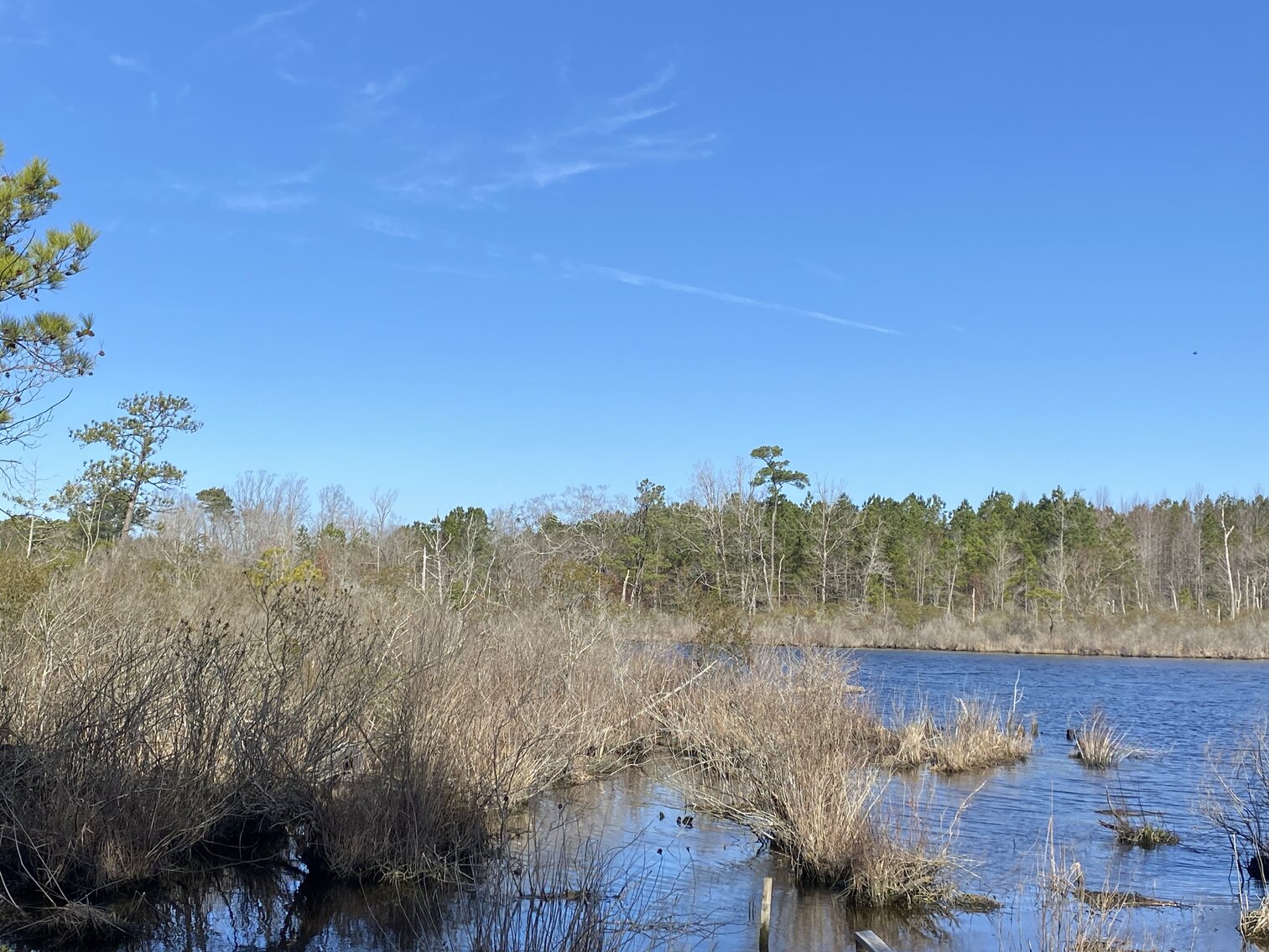 Image for Waterfront Farmland Auction Neal Parker Rd Withams, VA