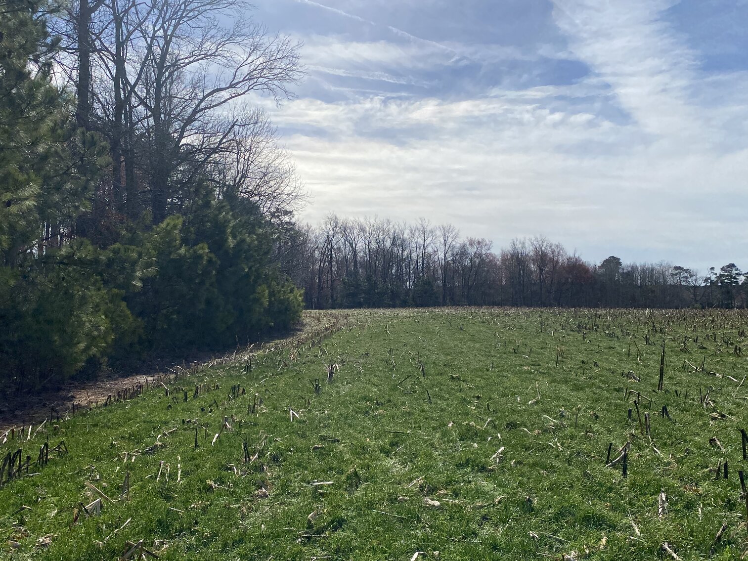 Image for Waterfront Farmland Auction Neal Parker Rd Withams, VA