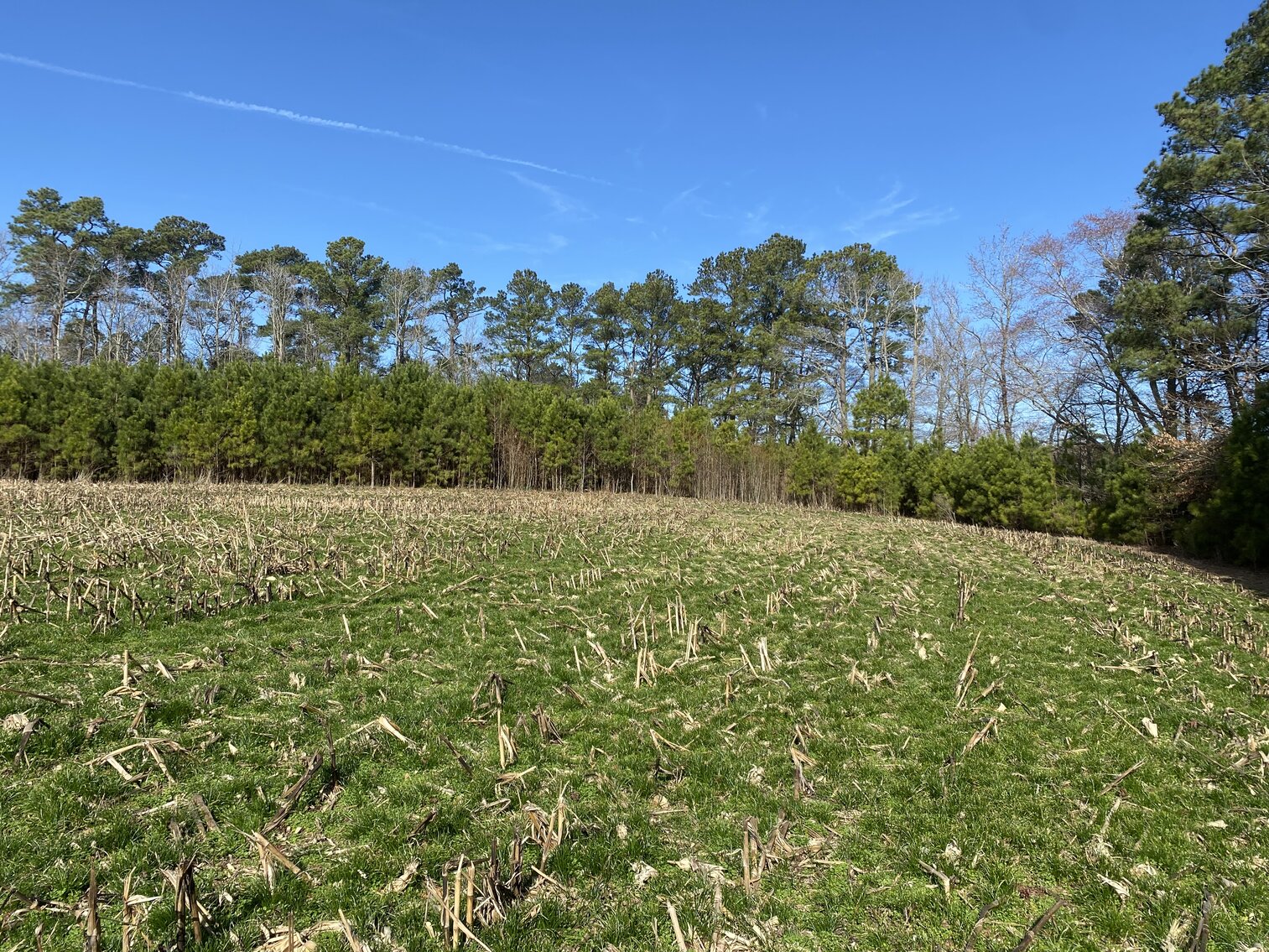 Image for Waterfront Farmland Auction Neal Parker Rd Withams, VA