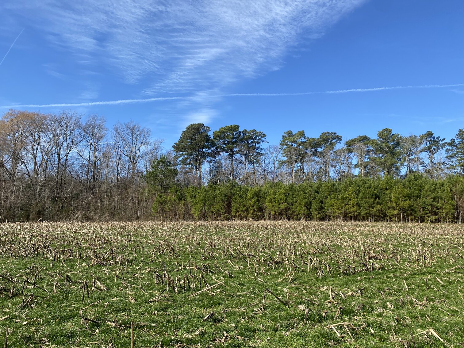 Image for Waterfront Farmland Auction Neal Parker Rd Withams, VA
