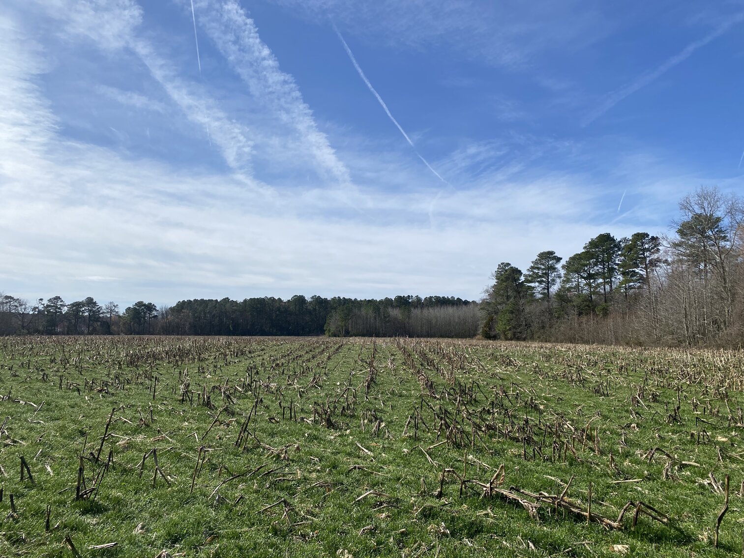 Image for Waterfront Farmland Auction Neal Parker Rd Withams, VA