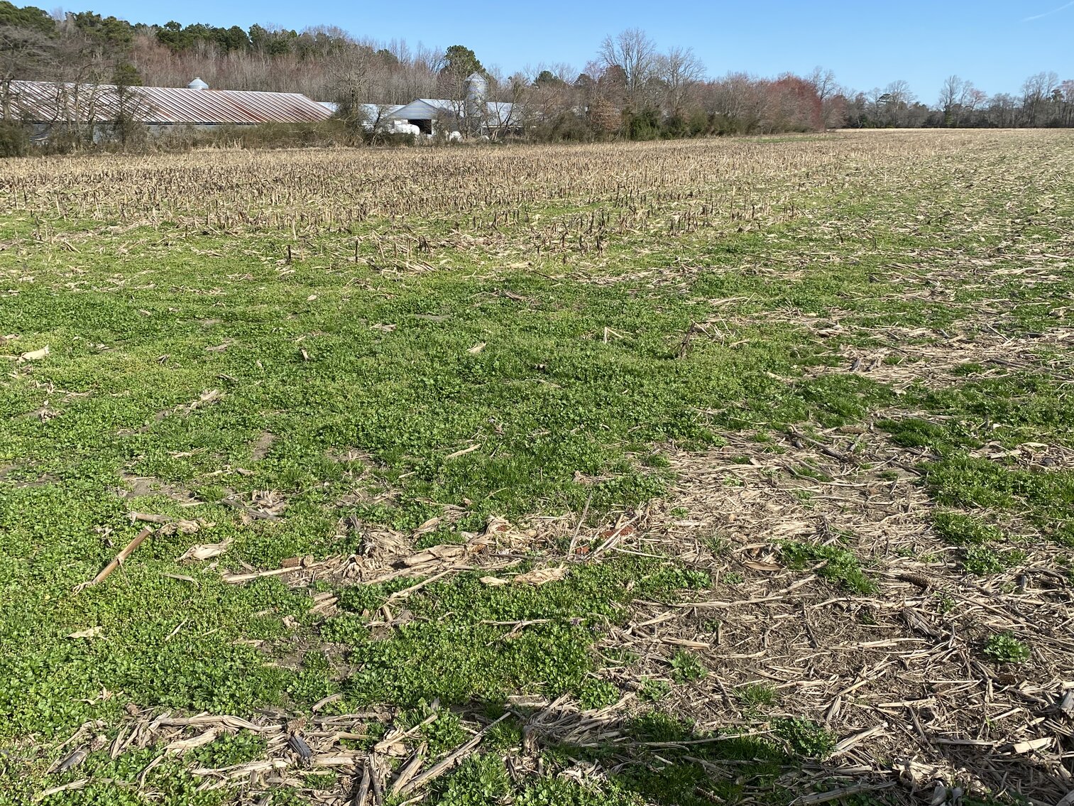 Image for Waterfront Farmland Auction Neal Parker Rd Withams, VA