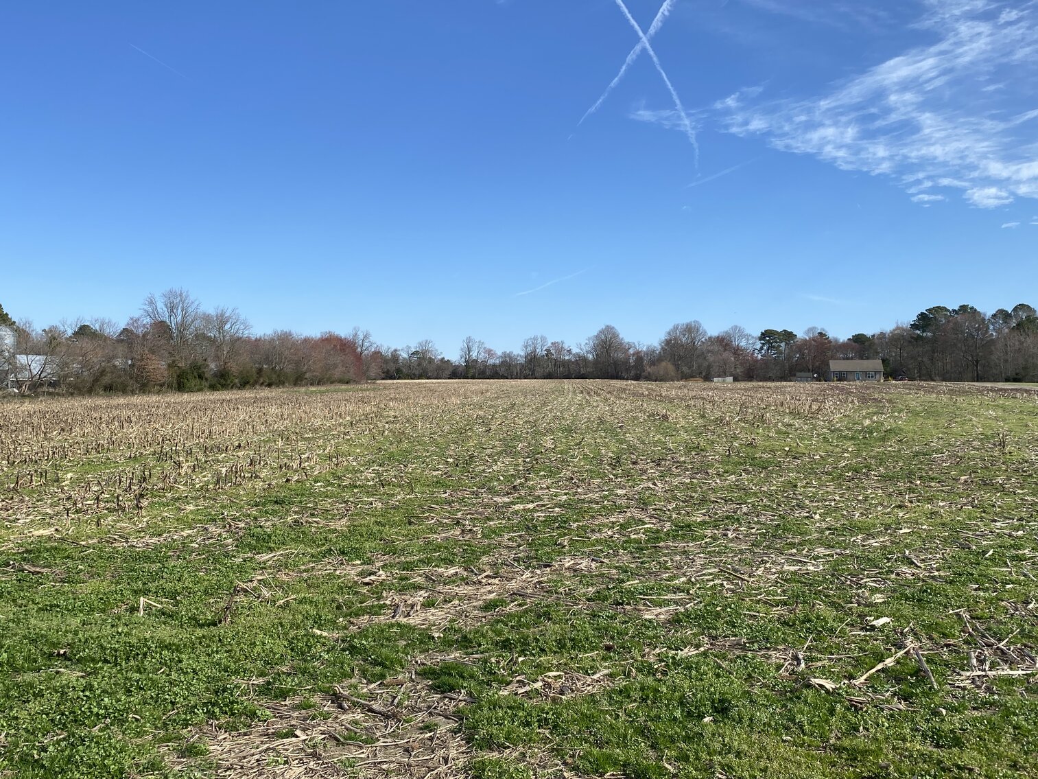 Image for Waterfront Farmland Auction Neal Parker Rd Withams, VA