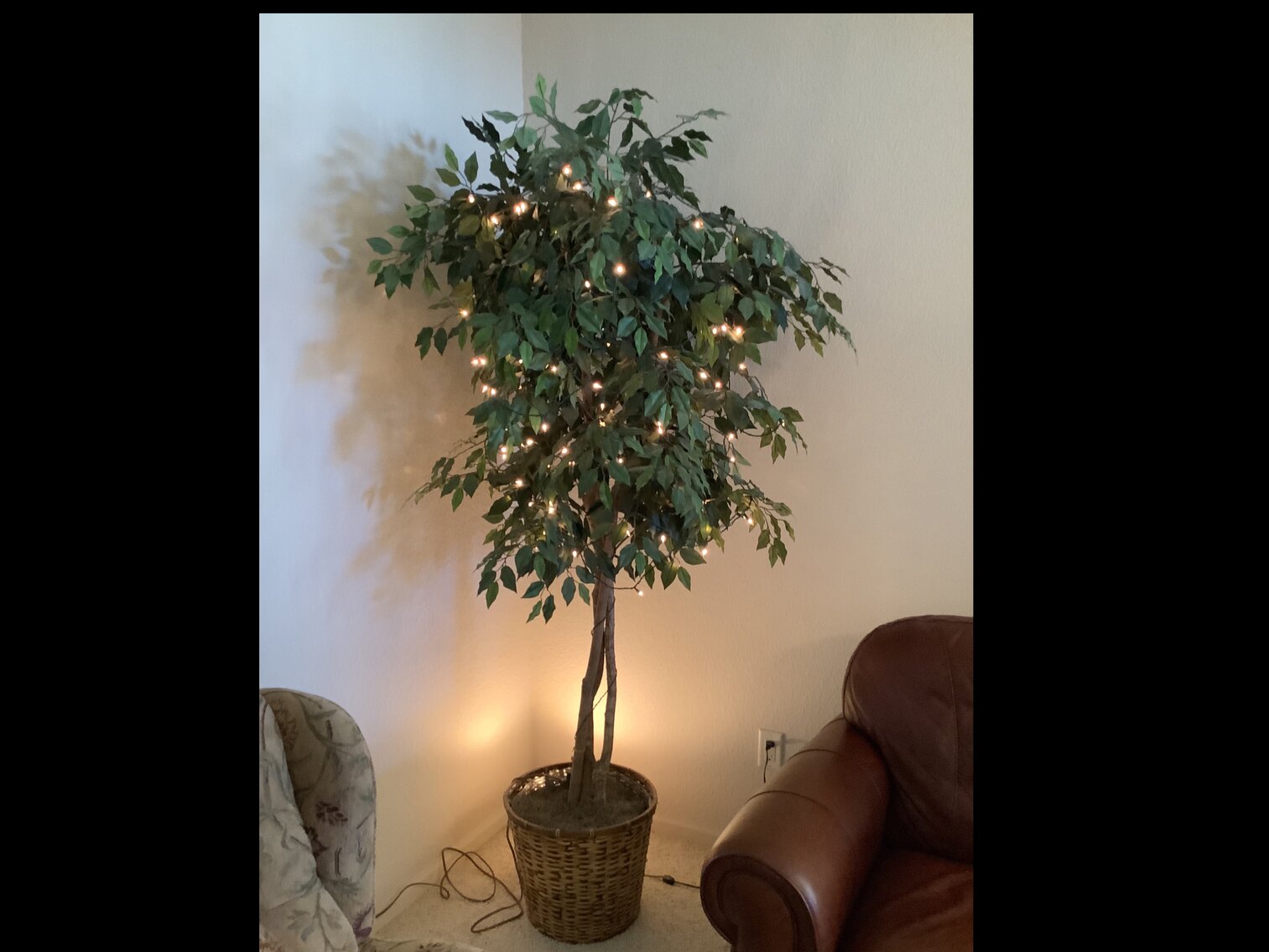 Lighted Tree with Spotlight.