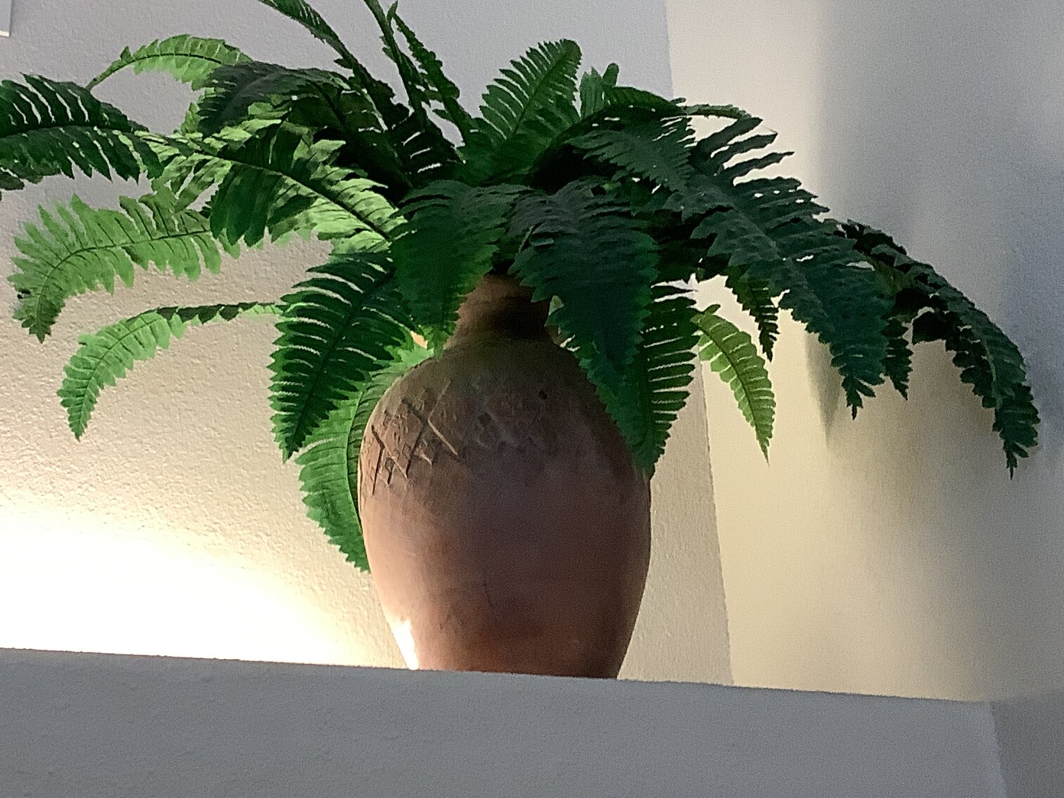 Large Clay Pot with Fern