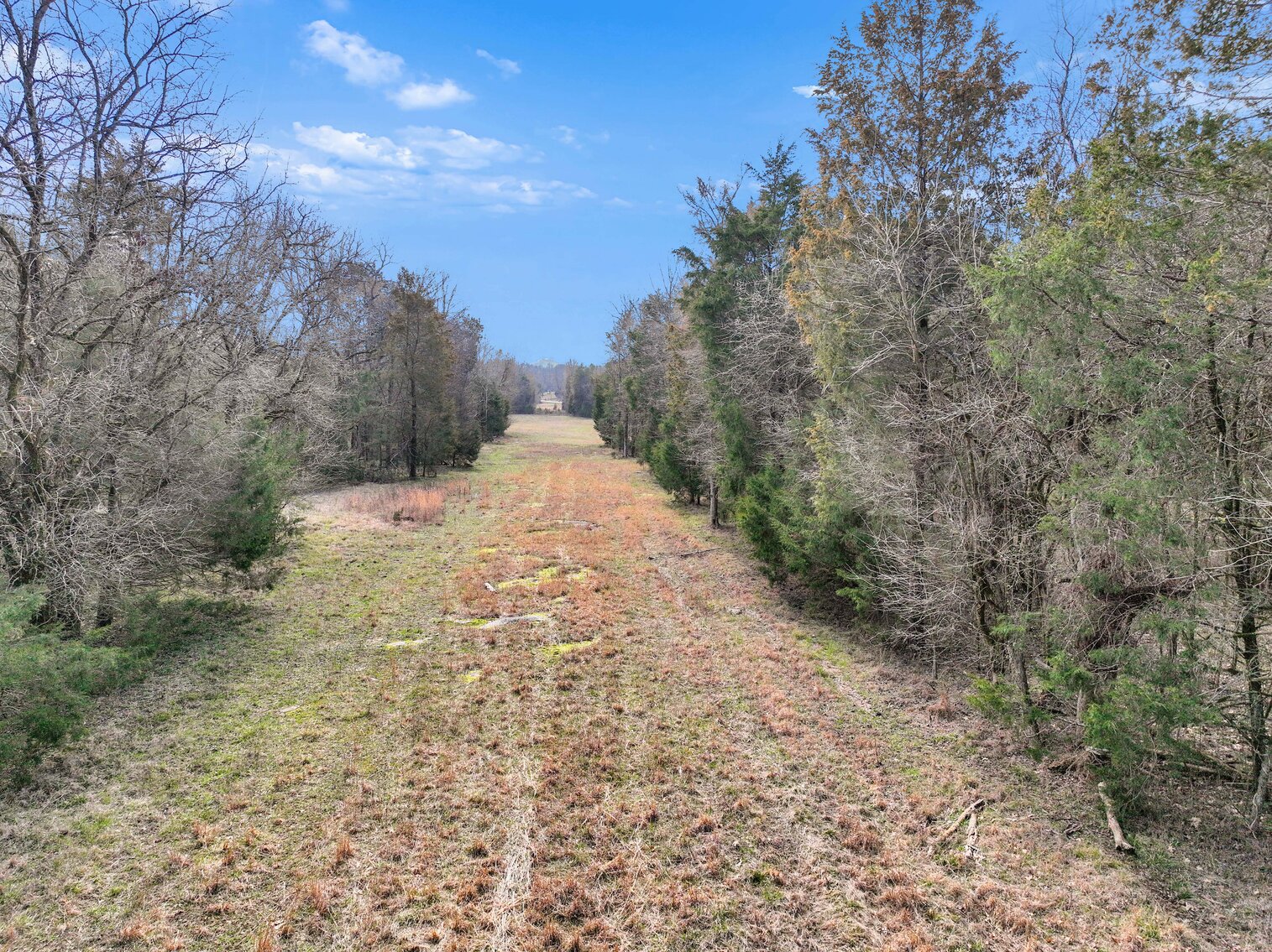 Image for Bivens Hill Road & Halls Hill Pike, Readyville