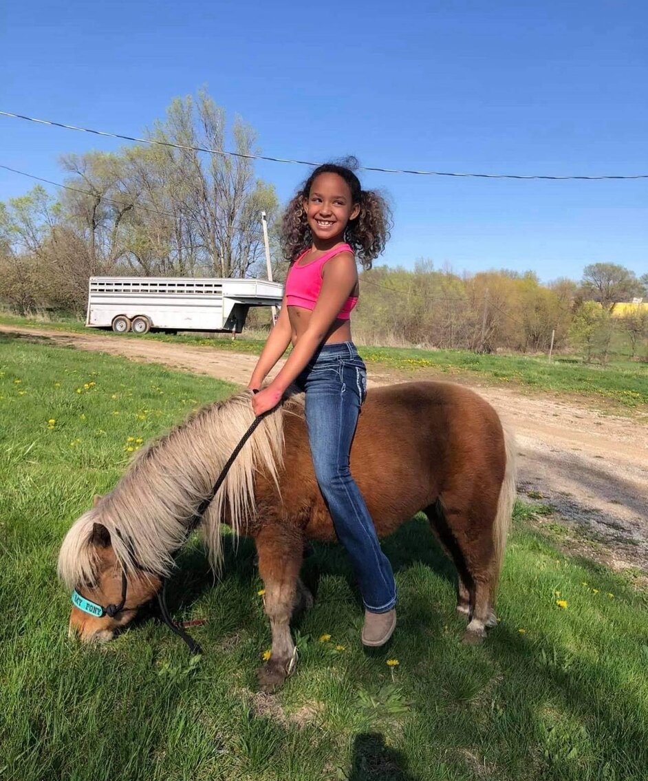 Donkey's Horse Sale March 4th Clarinda, Iowa