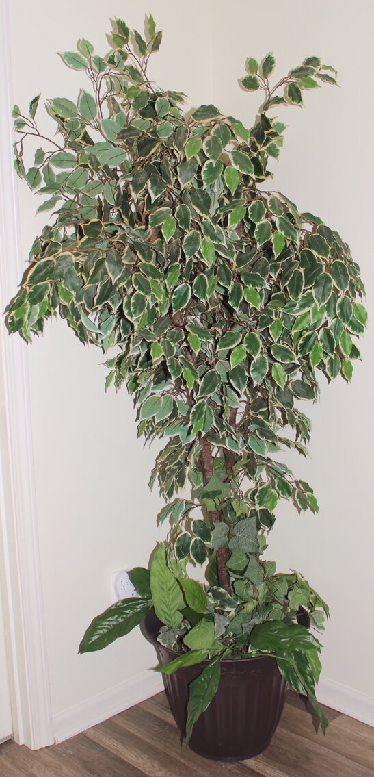 Image for ESTATE AUCTION