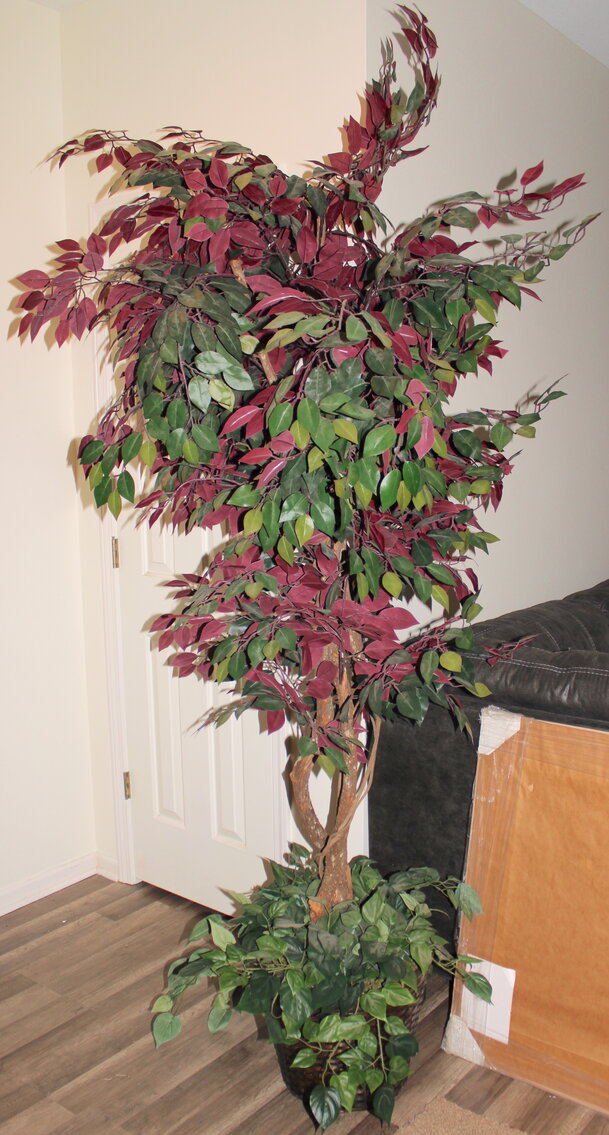 Image for ESTATE AUCTION