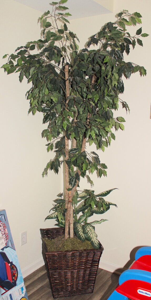 Image for ESTATE AUCTION