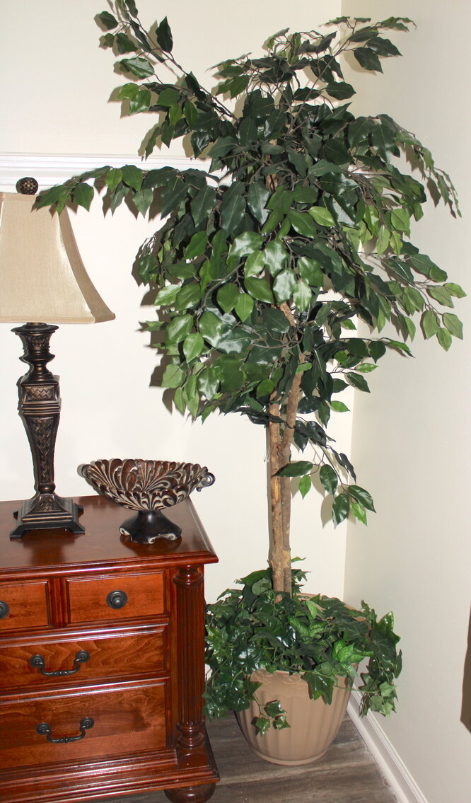 Image for ESTATE AUCTION