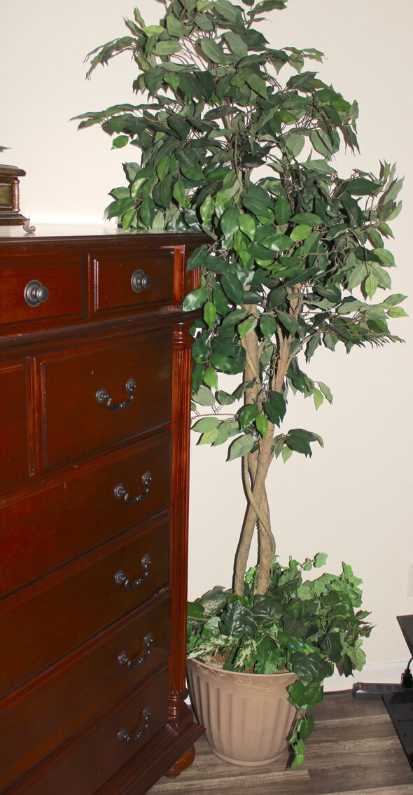 Image for ESTATE AUCTION