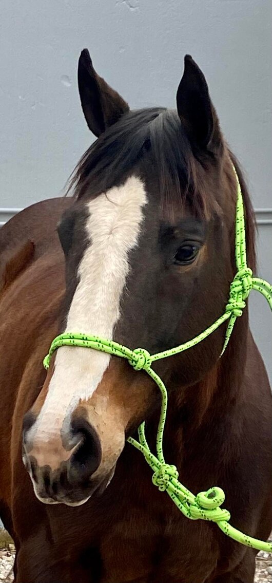 Image for Casino Classic - Oak Grove, Kentucky March 18th