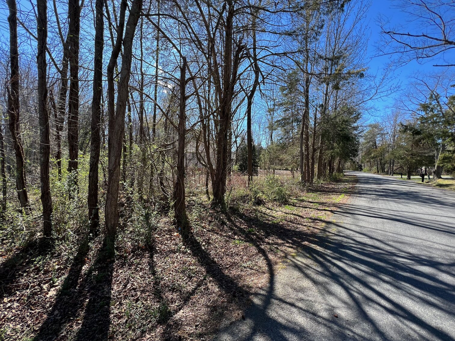 Image for King George County Sale of Tax Delinquent Real Estate