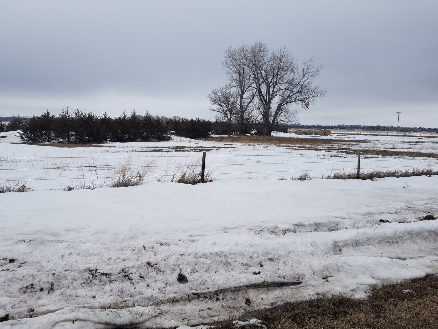 Image for 160+/- Acres in Holt County, NE located East of Atkinson, NE