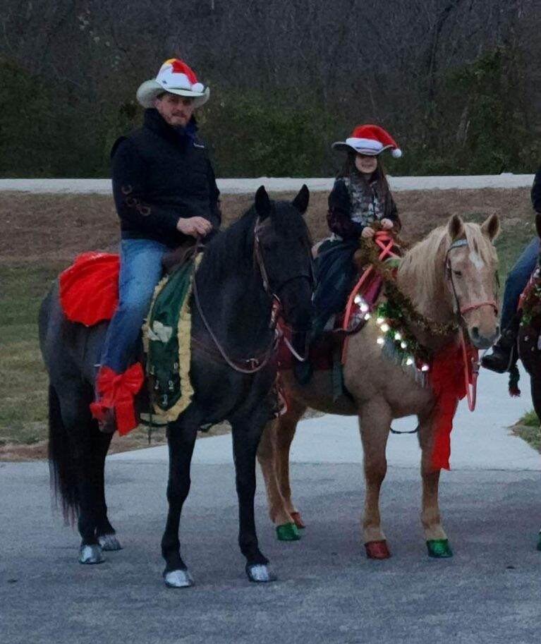 Image for Missouri Horse Auction Springfield, MO FRIDAY, March 31st!