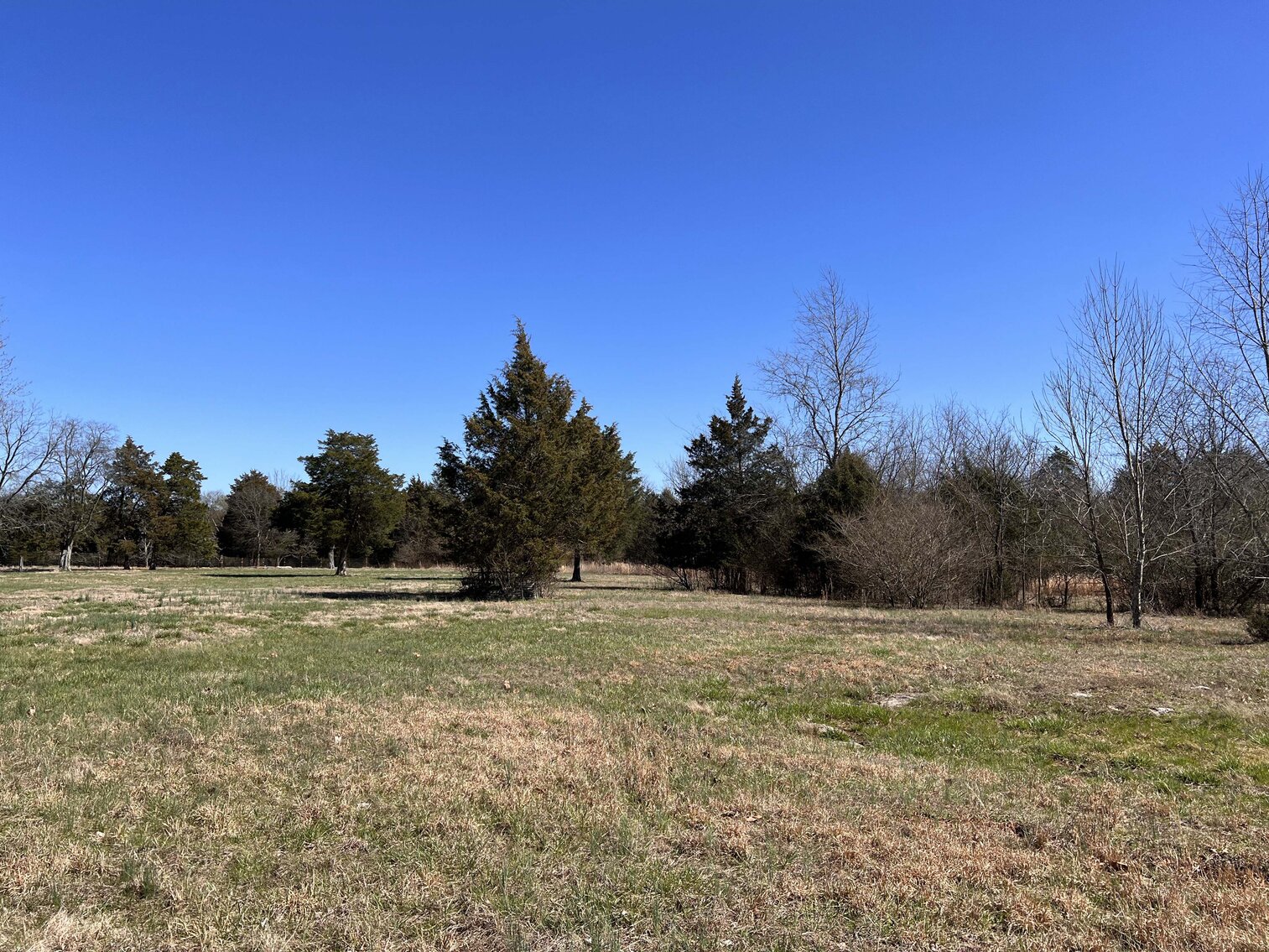 Image for 11802 Mount Vernon Road, Rockvale