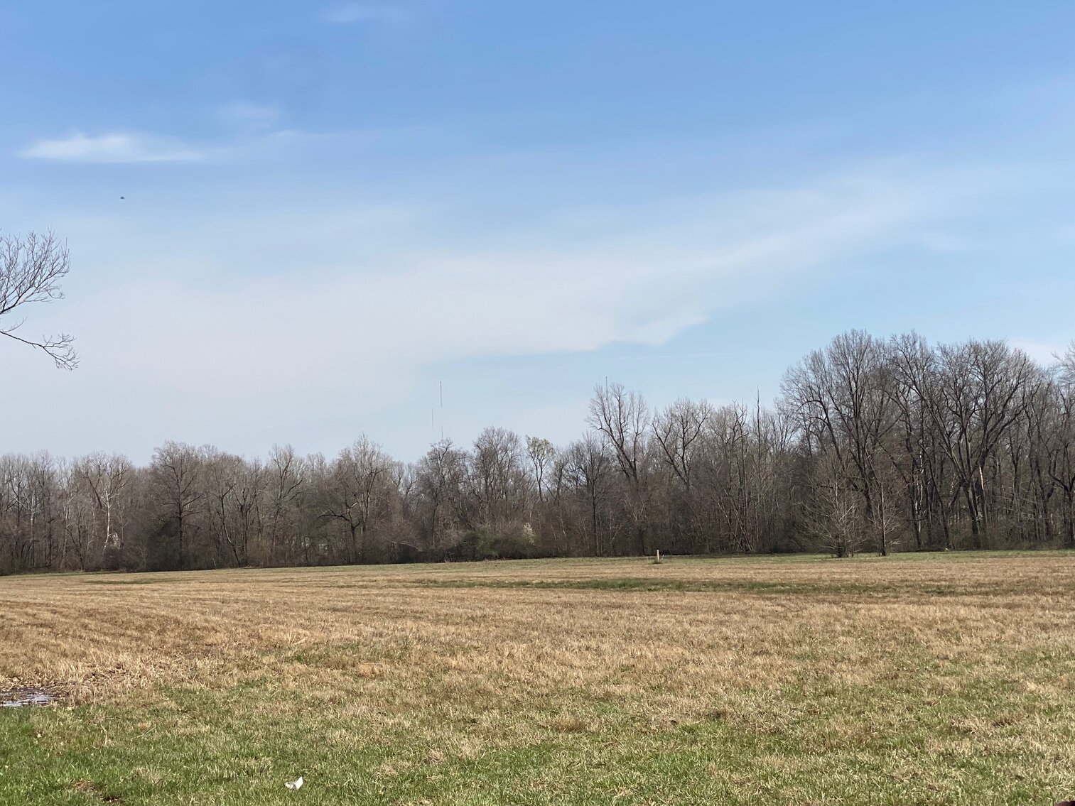 Image for Absolute Online Only Land Auction