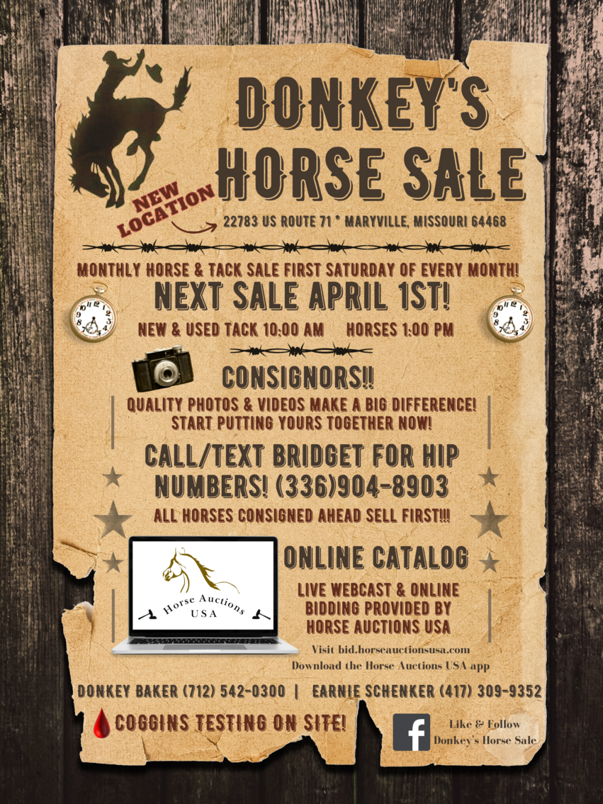 Image for Donkey's Horse Sale - NEW LOCATION!  Maryville, Missouri - April 1st