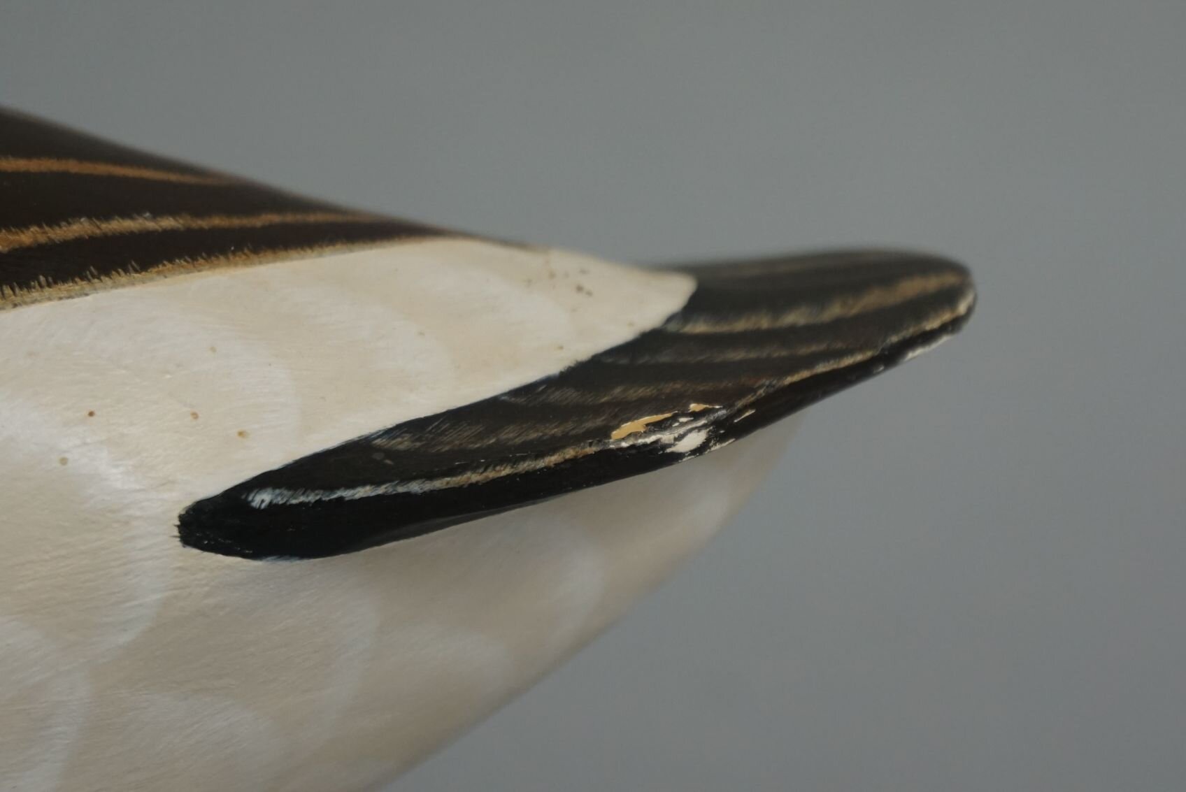 Image for March Online Sportsman's Auction 2023