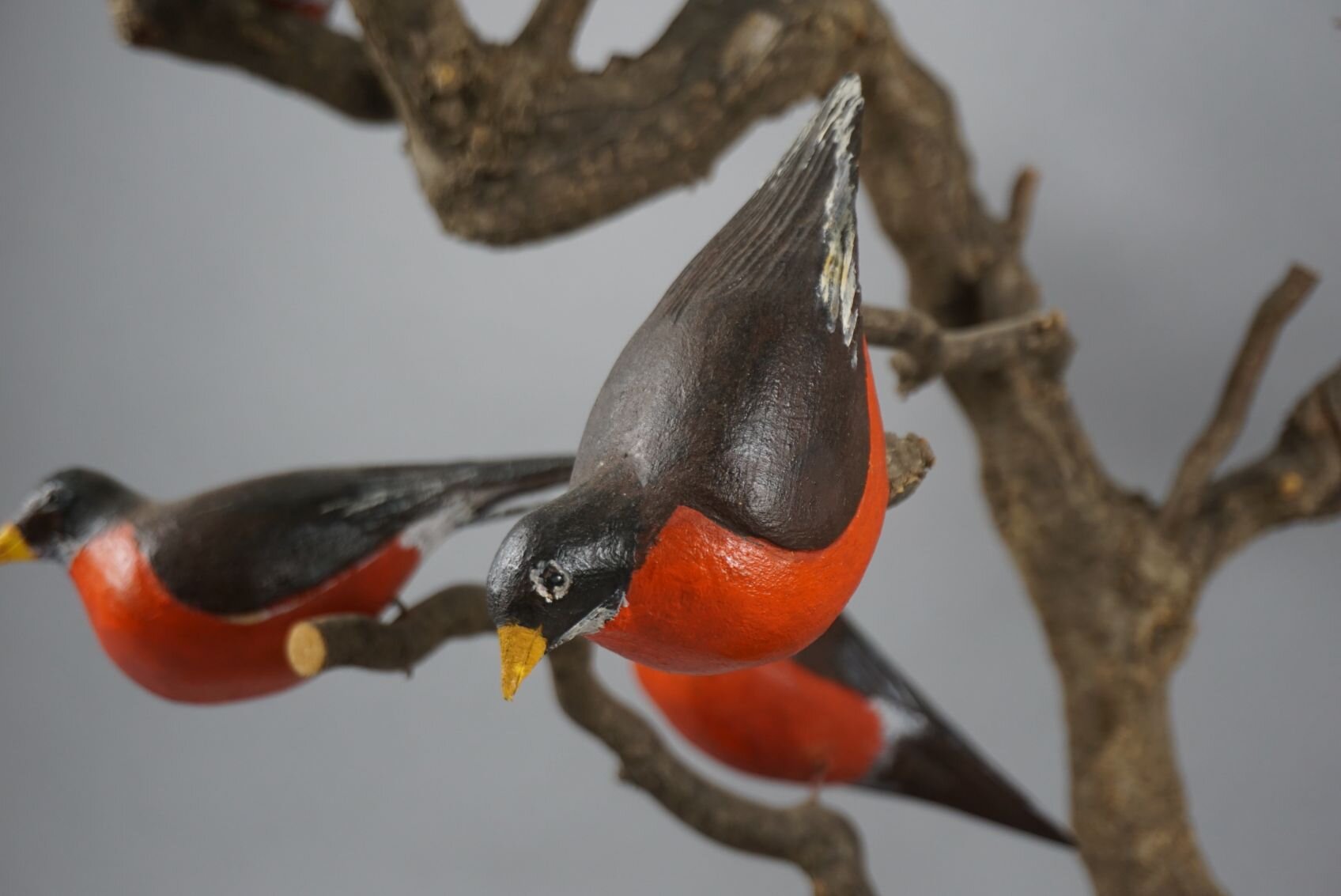 Image for March Online Sportsman's Auction 2023