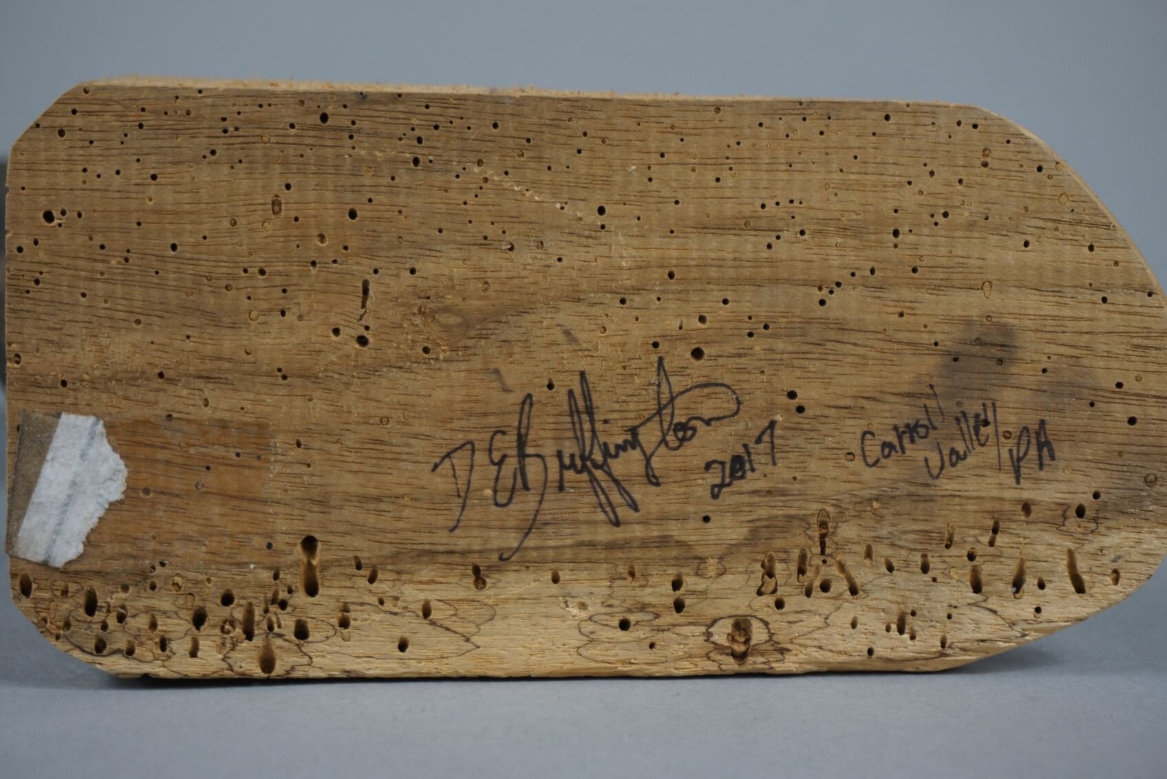 Image for March Online Sportsman's Auction 2023