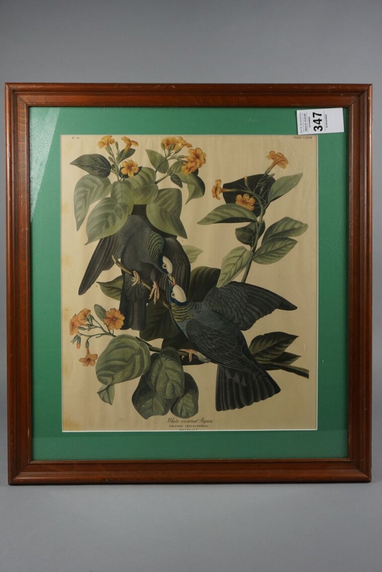 Image for March Online Sportsman's Auction 2023