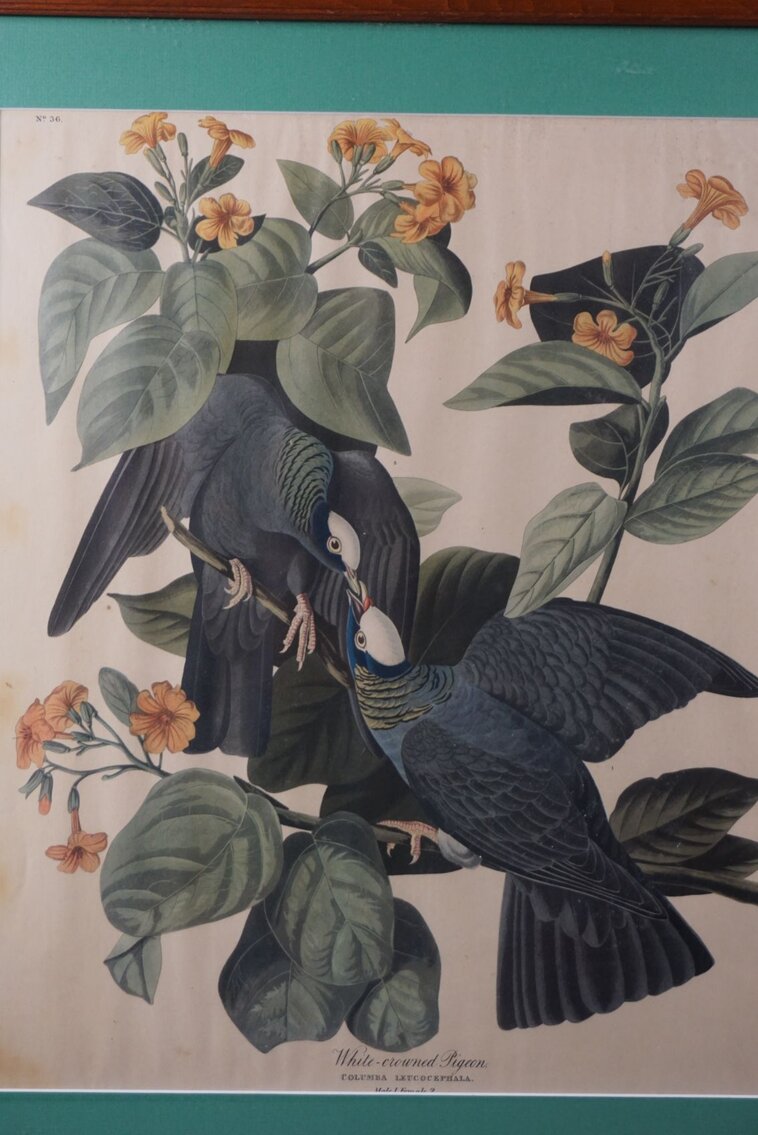 Image for March Online Sportsman's Auction 2023