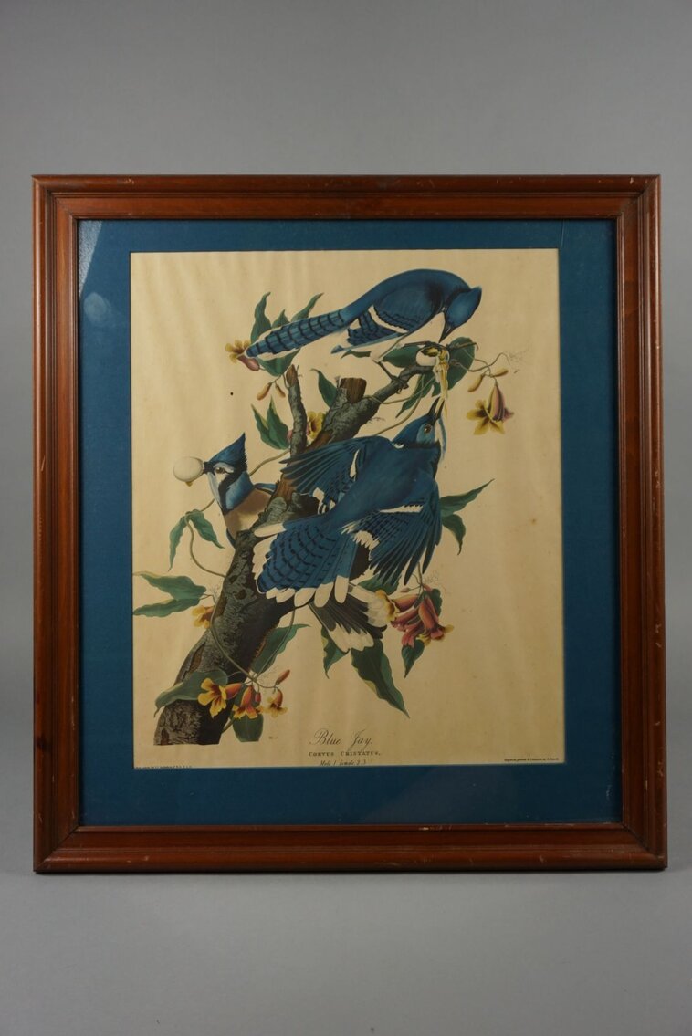 Image for March Online Sportsman's Auction 2023