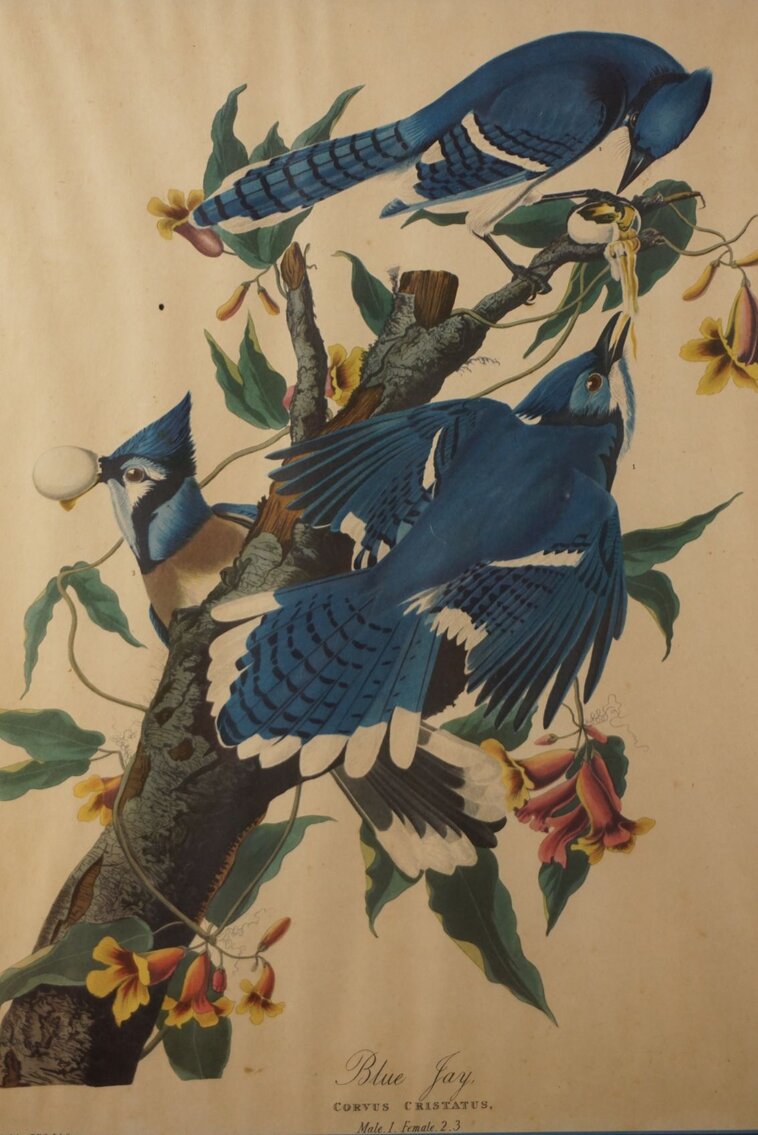 Image for March Online Sportsman's Auction 2023