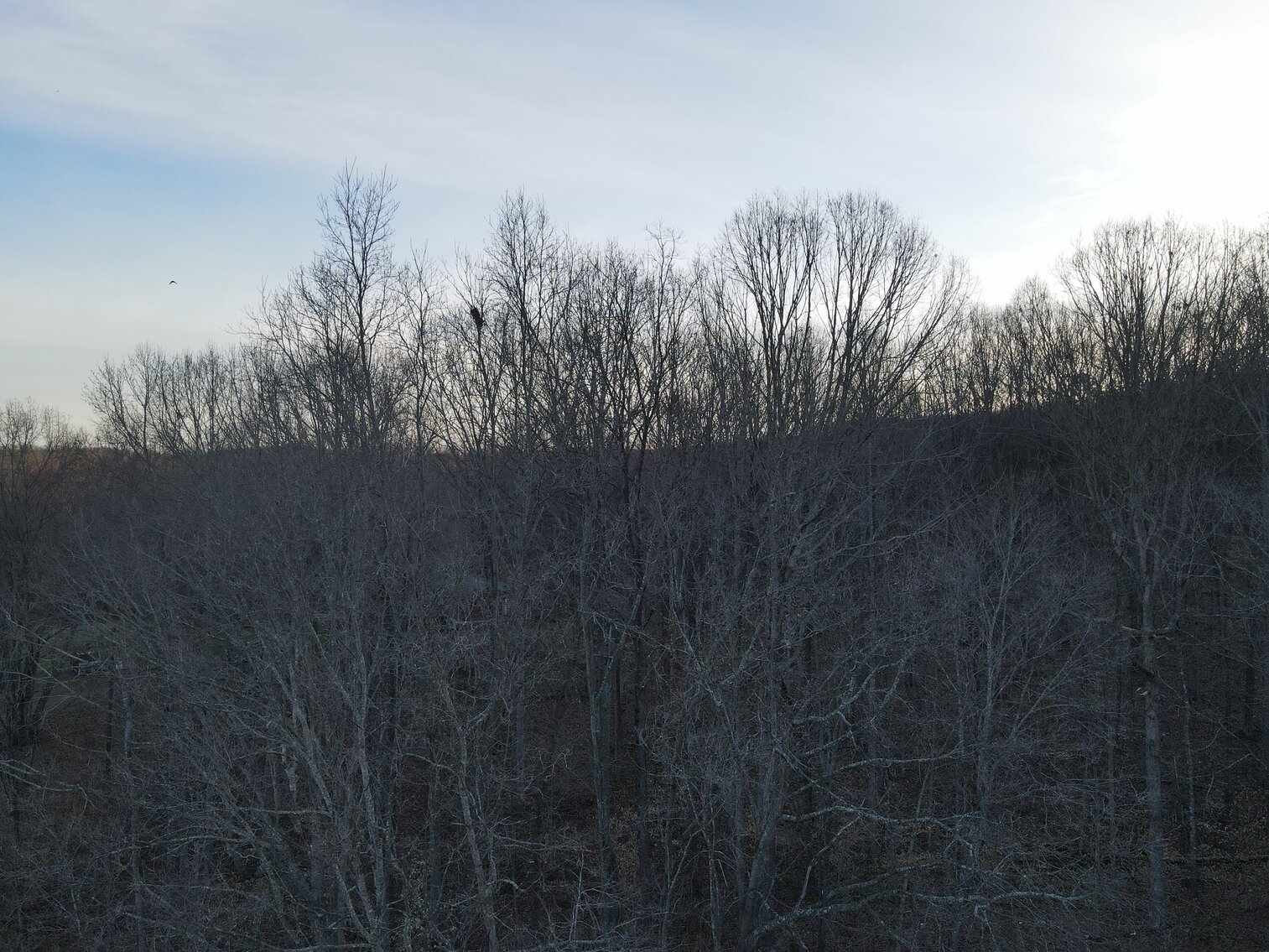 Image for 281  Victoria Lane,  Rustburg, VA  24588